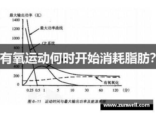 有氧运动何时开始消耗脂肪？